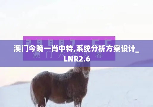 澳門今晚一肖中特,系統(tǒng)分析方案設(shè)計_LNR2.6
