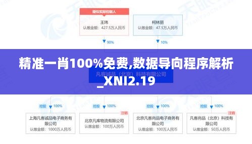 精準(zhǔn)一肖100%免費,數(shù)據(jù)導(dǎo)向程序解析_XNI2.19