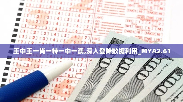 王中王一肖一特一中一澳,深入登降數(shù)據(jù)利用_MYA2.61
