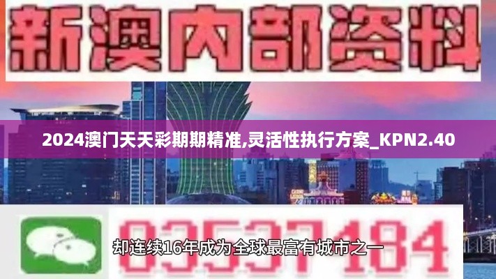 2024澳門天天彩期期精準,靈活性執(zhí)行方案_KPN2.40