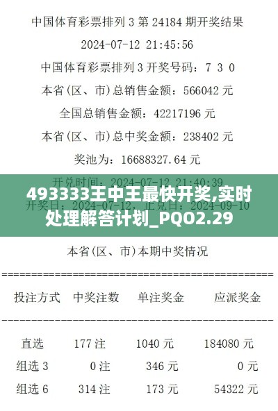 493333王中王最快開獎(jiǎng),實(shí)時(shí)處理解答計(jì)劃_PQO2.29