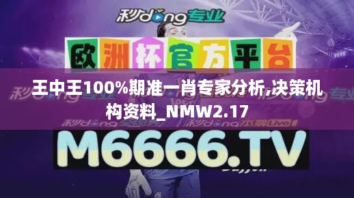 王中王100%期準一肖專家分析,決策機構(gòu)資料_NMW2.17