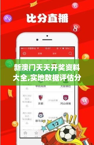 新澳門天天開獎資料大全,實地數(shù)據(jù)評估分析_VHO2.95