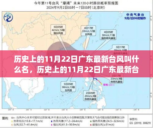 揭秘歷史，11月22日廣東最新臺(tái)風(fēng)名稱回顧與揭秘