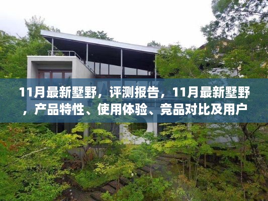 11月最新墅野產(chǎn)品評測報告，特性、體驗(yàn)、對比及用戶群體深度解析
