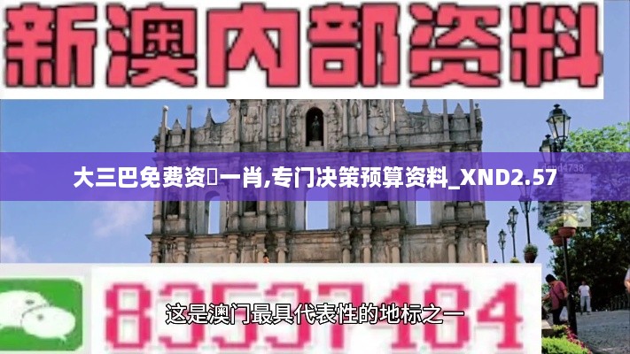 大三巴免費(fèi)資枓一肖,專門決策預(yù)算資料_XND2.57