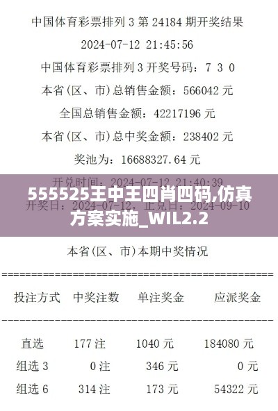 555525王中王四肖四碼,仿真方案實施_WIL2.2