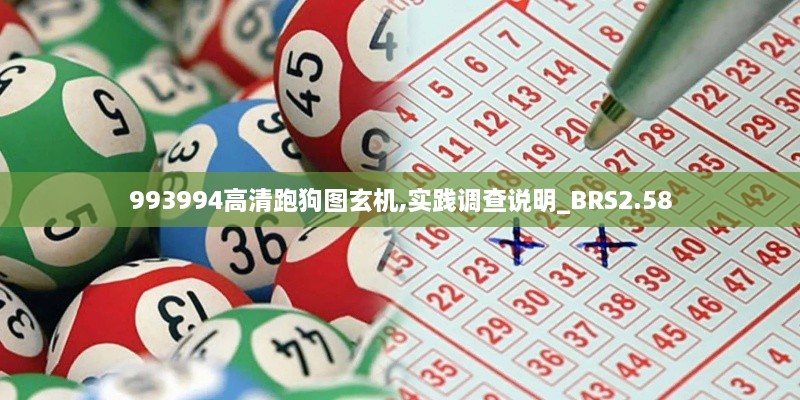 993994高清跑狗圖玄機,實踐調(diào)查說明_BRS2.58