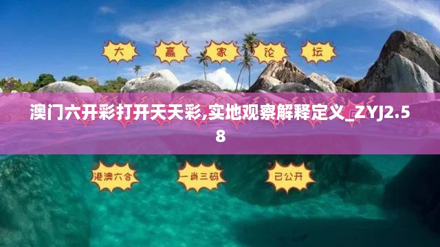 澳門六開(kāi)彩打開(kāi)天天彩,實(shí)地觀察解釋定義_ZYJ2.58