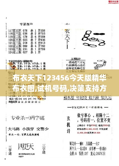 布衣天下123456今天版精華布衣圖,試機號碼,決策支持方案_PSQ2.11