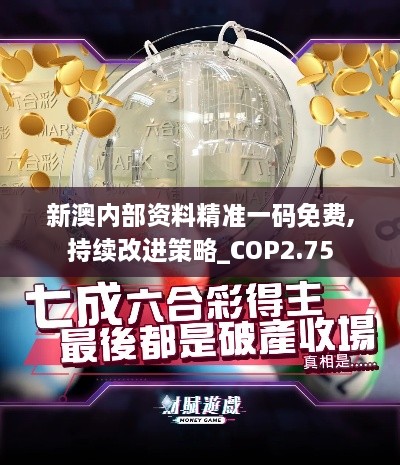 新澳內(nèi)部資料精準(zhǔn)一碼免費(fèi),持續(xù)改進(jìn)策略_COP2.75