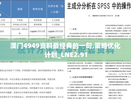 澳門4949資料最經(jīng)典的一句,策略優(yōu)化計(jì)劃_LNE2.91