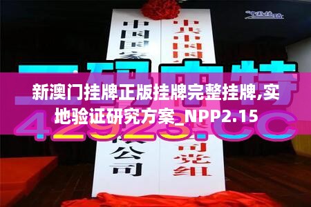 新澳門掛牌正版掛牌完整掛牌,實(shí)地驗(yàn)證研究方案_NPP2.15