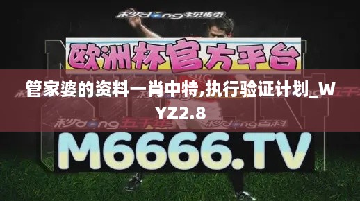 管家婆的資料一肖中特,執(zhí)行驗證計劃_WYZ2.8