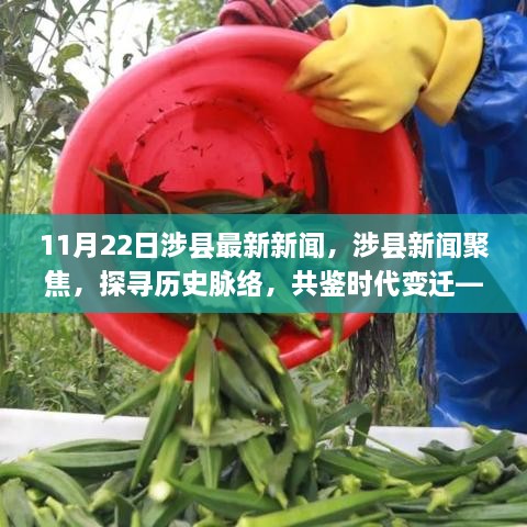 2024年11月 第682頁