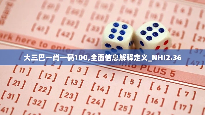 大三巴一肖一碼100,全面信息解釋定義_NHI2.36