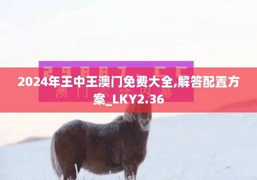 2024年王中王澳門免費(fèi)大全,解答配置方案_LKY2.36
