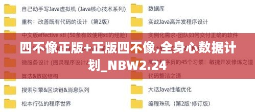 四不像正版+正版四不像,全身心數(shù)據(jù)計(jì)劃_NBW2.24
