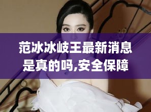 范冰冰岐王最新消息是真的嗎,安全保障措施_ALJ2.30