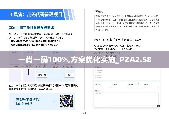 一肖一碼100%,方案優(yōu)化實施_PZA2.58