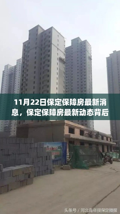 保定保障房最新動(dòng)態(tài)與小巷深處的獨(dú)特小店探秘，11月22日最新消息