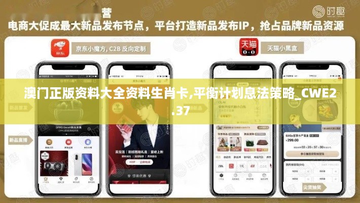 澳門正版資料大全資料生肖卡,平衡計(jì)劃息法策略_CWE2.37