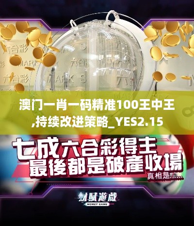 澳門一肖一碼精準(zhǔn)100王中王,持續(xù)改進(jìn)策略_YES2.15