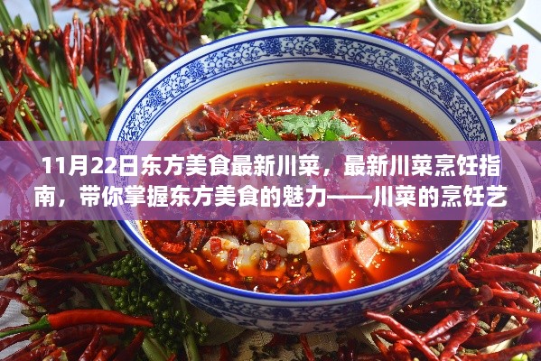 最新川菜烹飪指南，掌握東方美食川菜之魅力