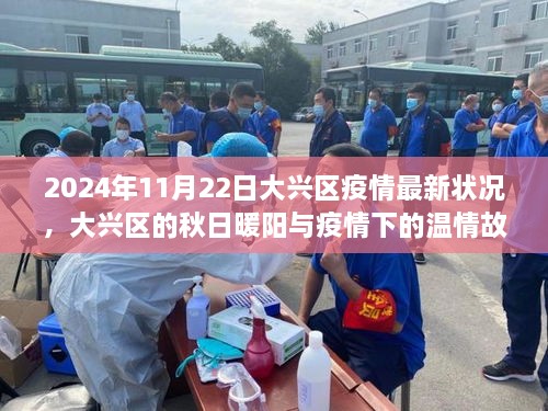 大興區(qū)疫情最新狀況與秋日溫情故事，疫情下的暖陽與溫情故事