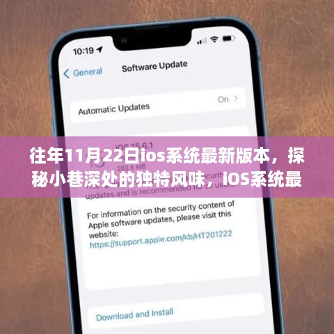 探秘小巷深處的獨(dú)特風(fēng)味，iOS系統(tǒng)最新版本的背后故事與隱藏小店的神秘面紗