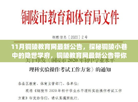 探秘銅陵小巷隱世學(xué)府，教育網(wǎng)最新公告揭示獨特教育小店風(fēng)采