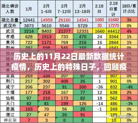 回顧疫情之下的特殊日子，歷史上的11月22日數(shù)據(jù)統(tǒng)計與回顧