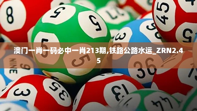澳門一肖一碼必中一肖213期,鐵路公路水運(yùn)_ZRN2.45