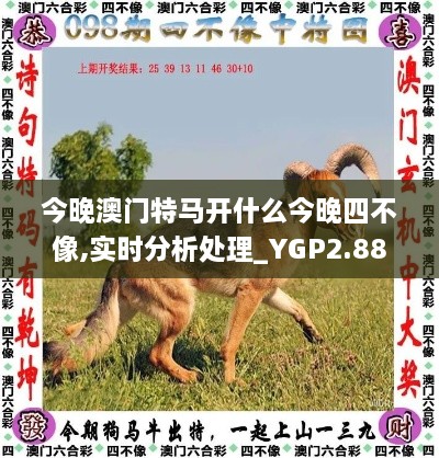 今晚澳門特馬開什么今晚四不像,實時分析處理_YGP2.88