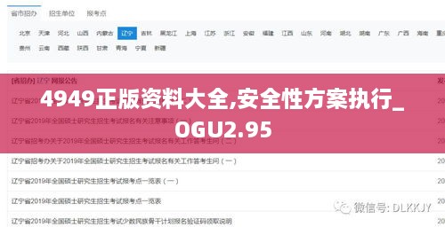 4949正版資料大全,安全性方案執(zhí)行_OGU2.95