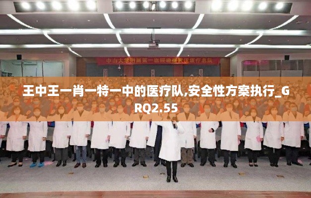 王中王一肖一特一中的醫(yī)療隊(duì),安全性方案執(zhí)行_GRQ2.55