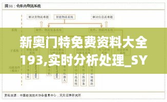 新奧門特免費資料大全193,實時分析處理_SYQ2.11