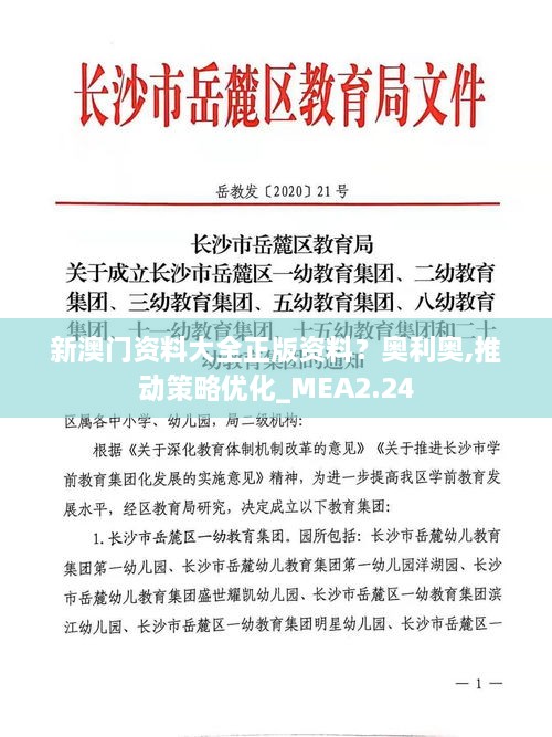 新澳門資料大全正版資料？奧利奧,推動(dòng)策略優(yōu)化_MEA2.24
