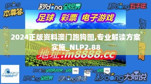 2024正版資料澳門跑狗圖,專業(yè)解讀方案實(shí)施_NLP2.88
