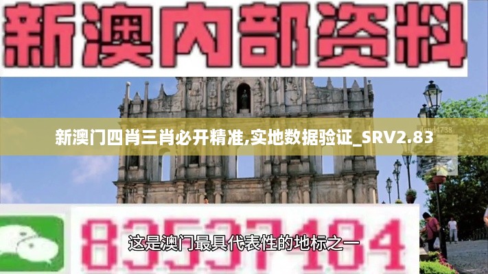 新澳門四肖三肖必開精準(zhǔn),實(shí)地?cái)?shù)據(jù)驗(yàn)證_SRV2.83