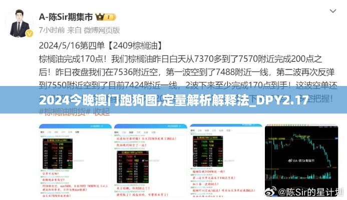 2024今晚澳門跑狗圖,定量解析解釋法_DPY2.17