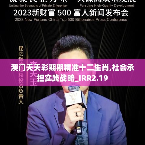 澳門天天彩期期精準(zhǔn)十二生肖,社會(huì)承擔(dān)實(shí)踐戰(zhàn)略_IRR2.19