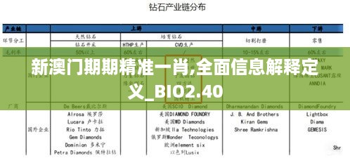 新澳門期期精準(zhǔn)一肖,全面信息解釋定義_BIO2.40