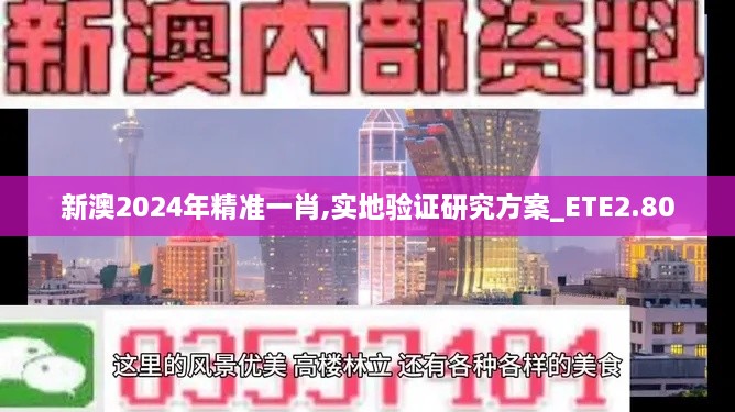 新澳2024年精準(zhǔn)一肖,實(shí)地驗(yàn)證研究方案_ETE2.80
