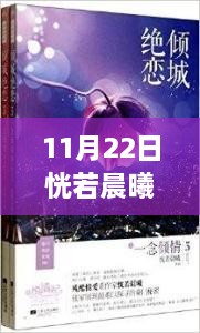 11月22日晨曦之光，最新小說測評(píng)與文字世界的照亮