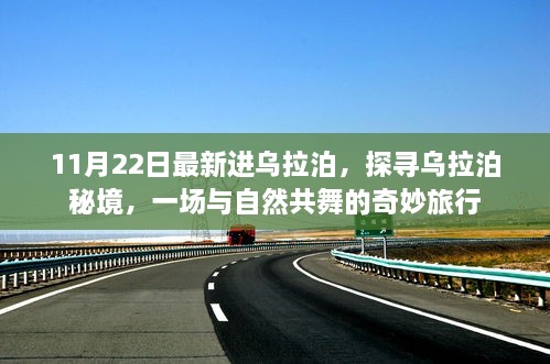 探尋烏拉泊秘境，與自然共舞的奇妙旅行之旅