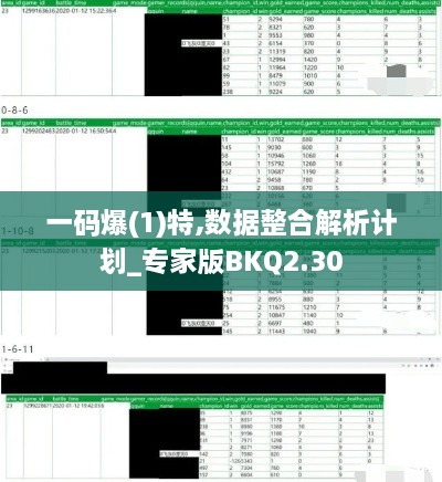 一碼爆(1)特,數(shù)據(jù)整合解析計劃_專家版BKQ2.30