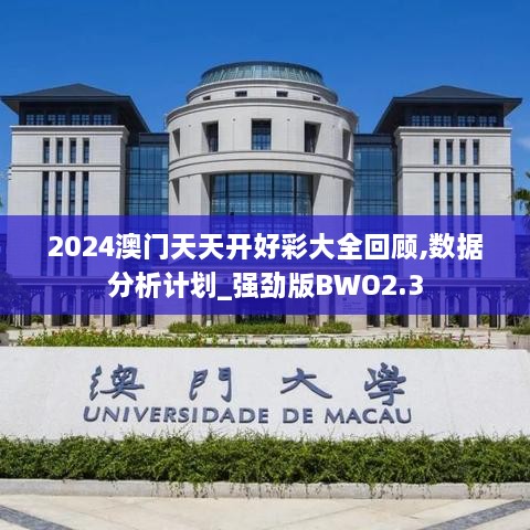 2024澳門天天開好彩大全回顧,數(shù)據(jù)分析計劃_強勁版BWO2.3