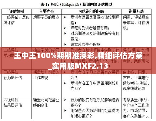 王中王100%期期準(zhǔn)澳彩,精細(xì)評(píng)估方案_實(shí)用版MXF2.13