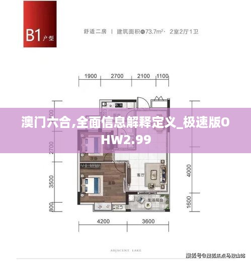 澳門(mén)六合,全面信息解釋定義_極速版OHW2.99